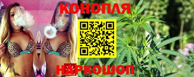 мяу мяу мука Будённовск